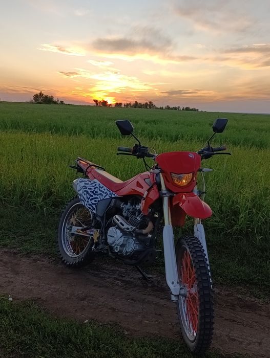 Эндуро Hammer 250