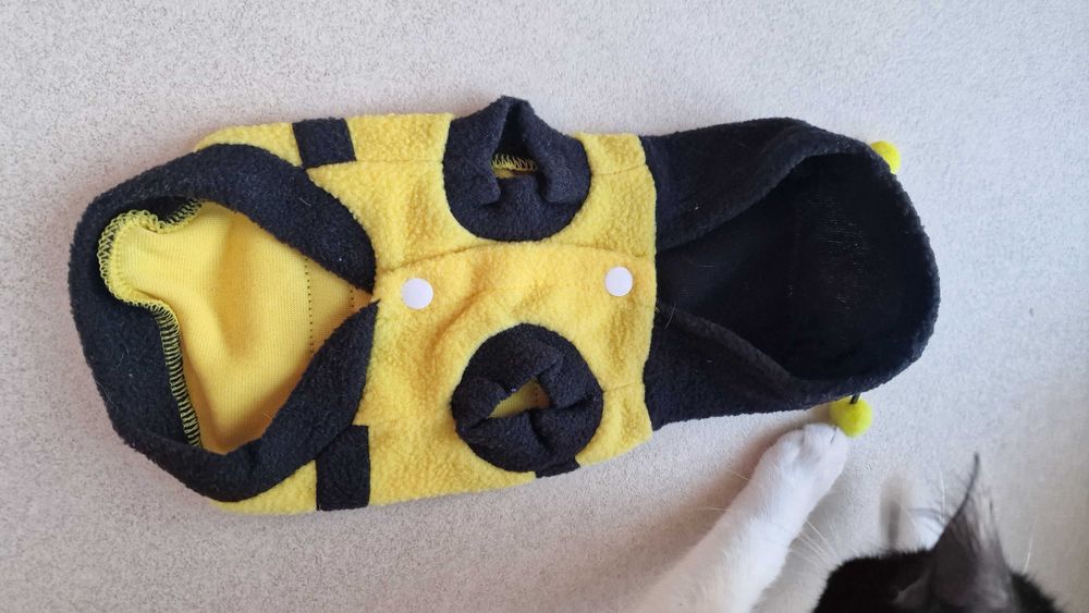 Дрехите за котки и малки куче