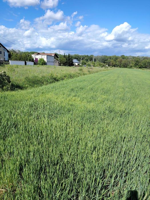 vanzare teren tartasesti