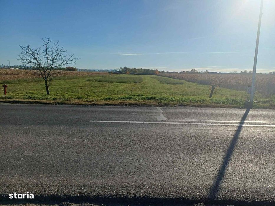 Teren intravilan / industrial 80 ari , Odoreu