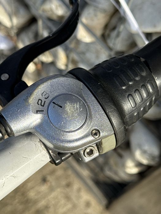 Bicicleta Enghouse 6 viteze în butuc