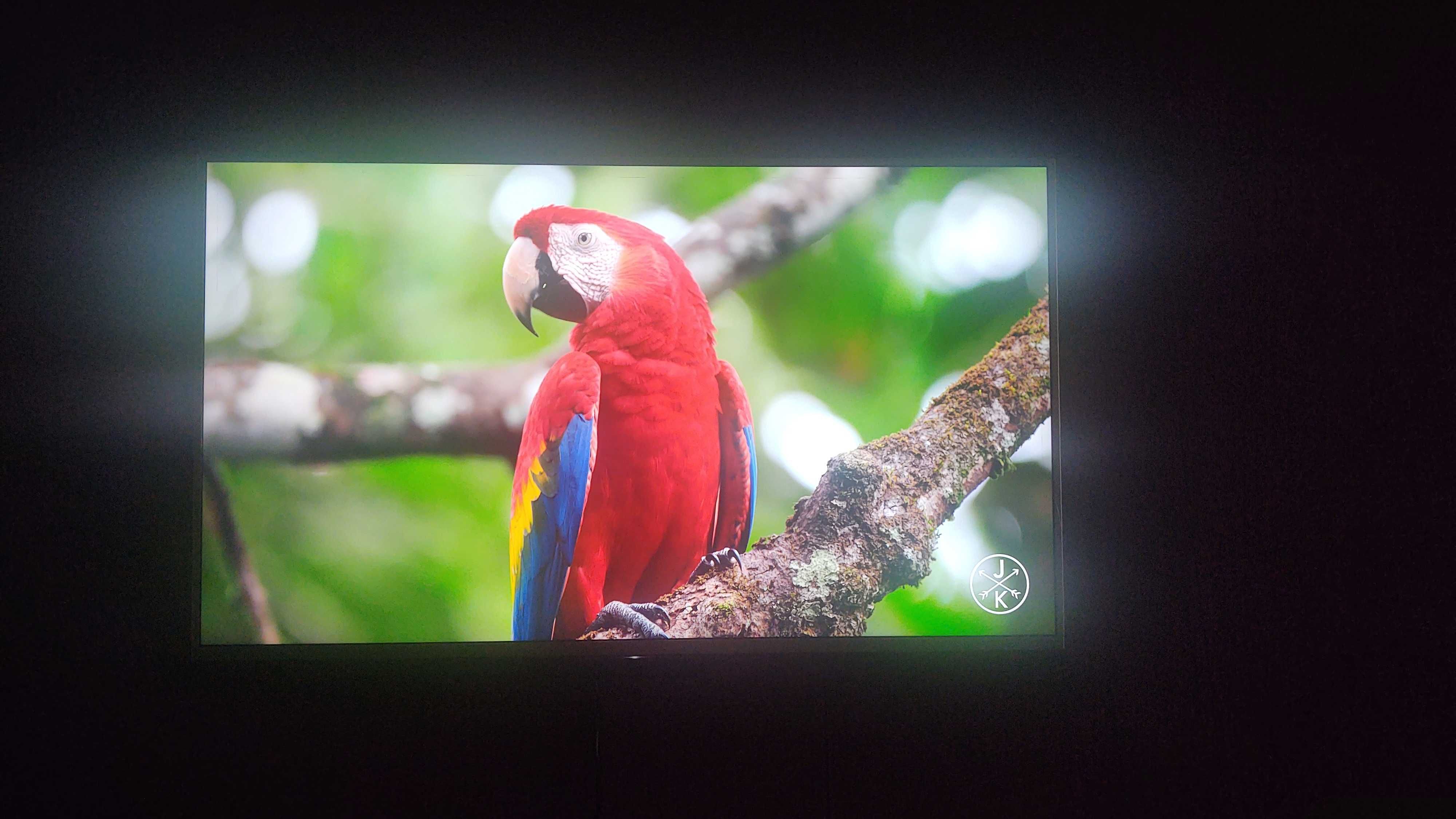 Sony Bravia Triluminos KD-49XF8577 - 49" 4K