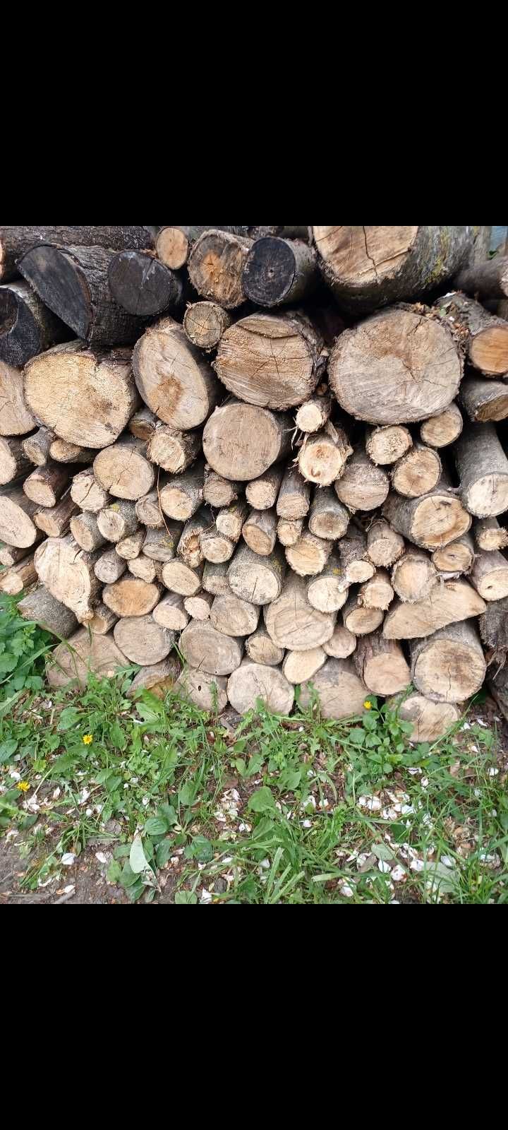 Schimb lemne de foc cu porumb sau păsări