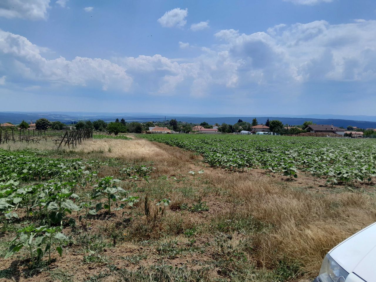 Продава се Парцел в Белослав - 1000 кв.м за 40 €/кв.м - Снимка #1