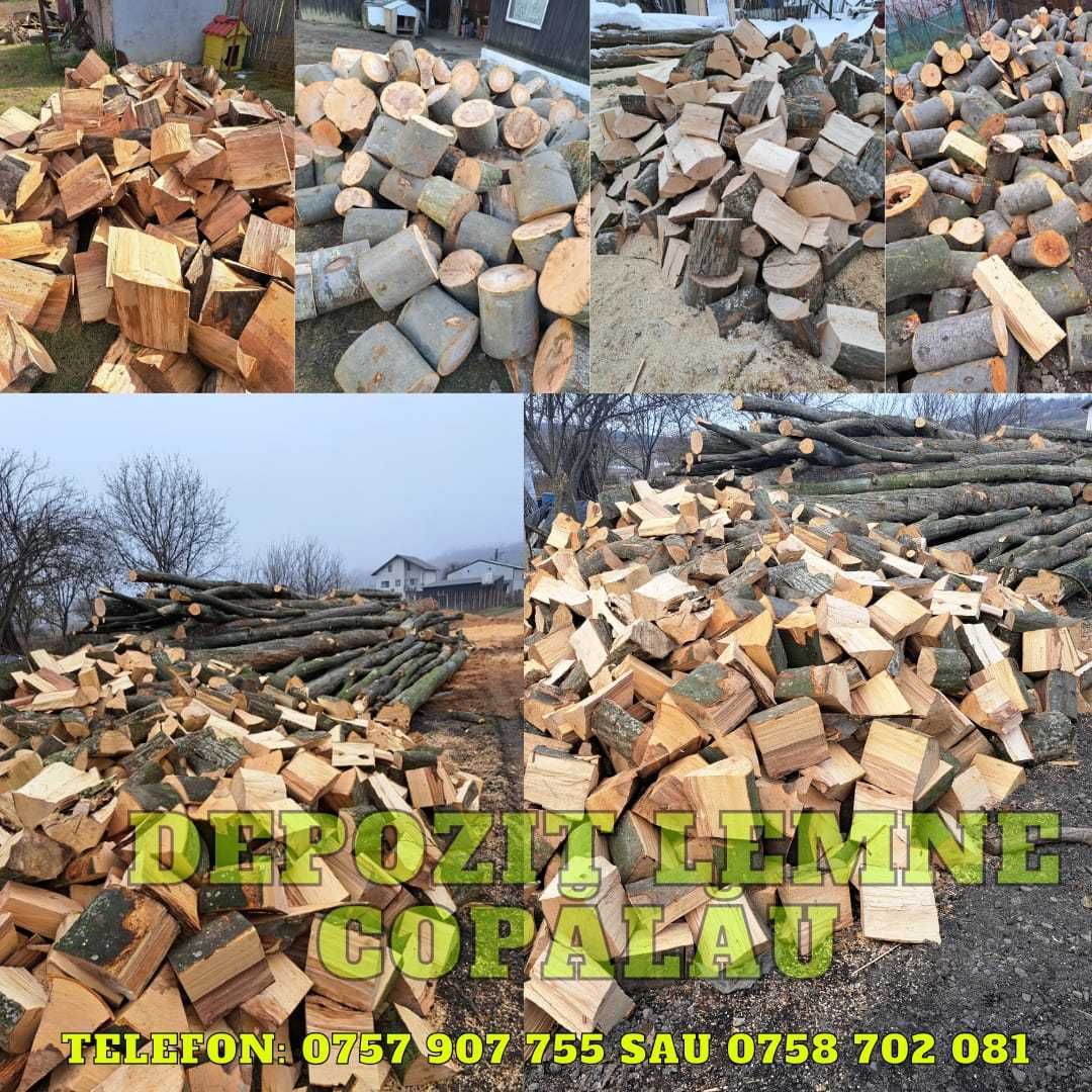 vindem lemne de foc