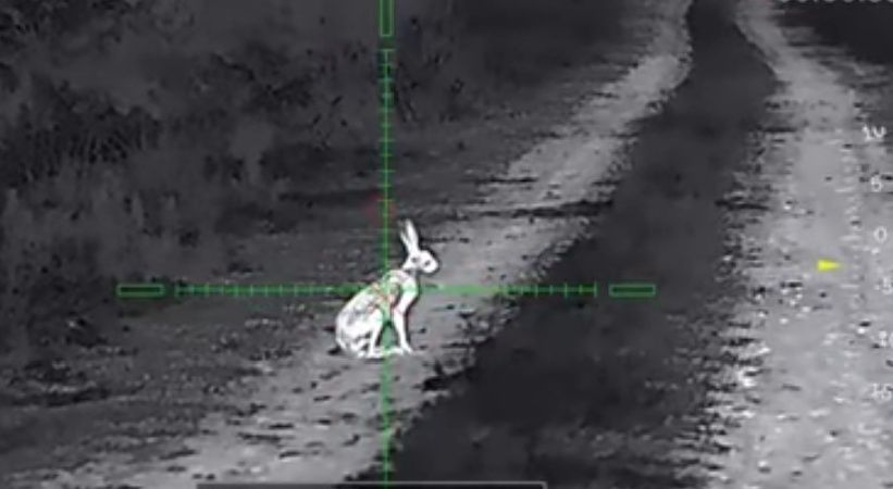 Тепловизор Sytong LM 02-25 янги сотилади