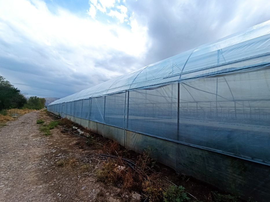Продам теплицу (тепличный комплекс) 0.77га (77 сот)