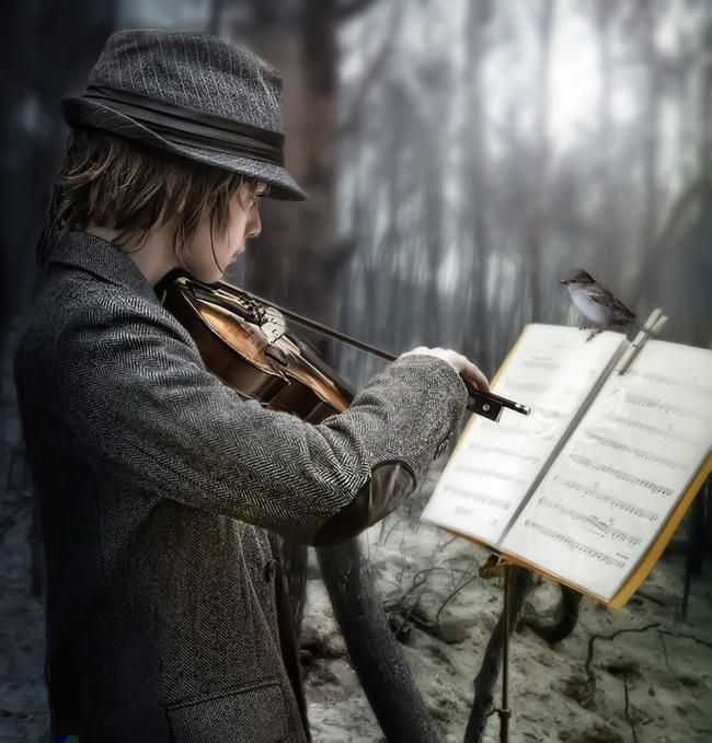 Învață vioară ușor și rapid cu Teo