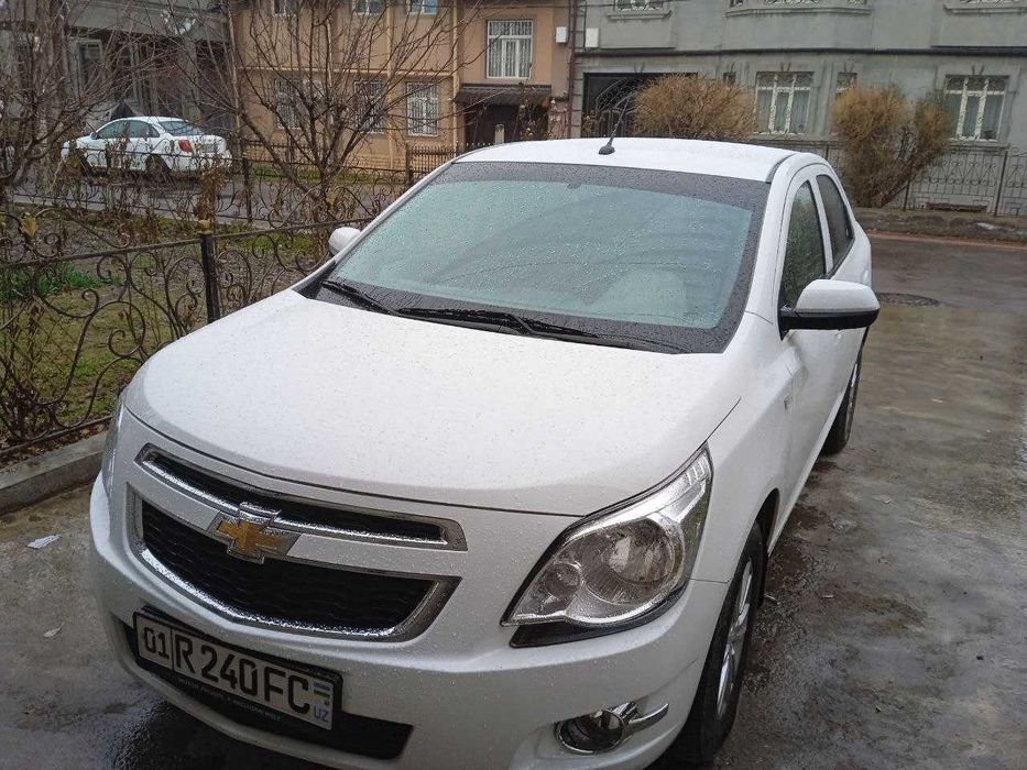 Cobalt Euro variant 2023