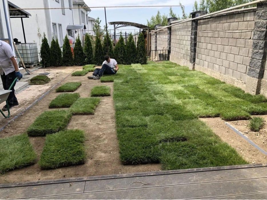 Рулонный газон от производителя с гарантией