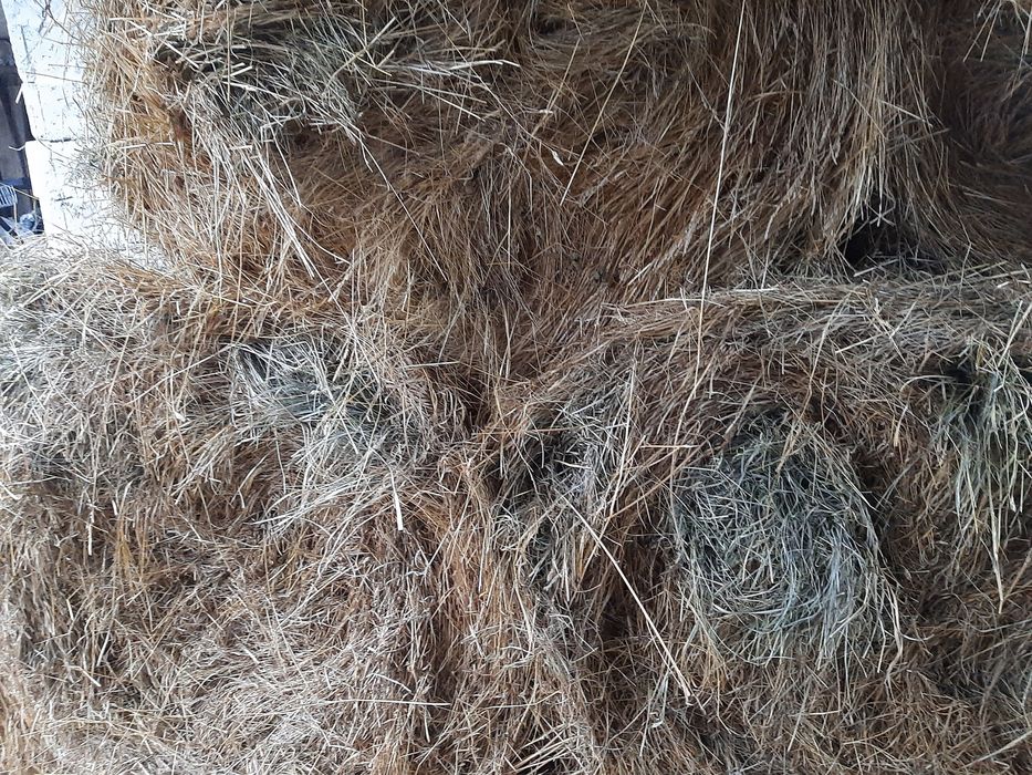 Baloti de fan si otava