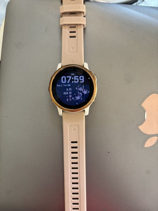 Смарт часовник Garmin 6S Pro