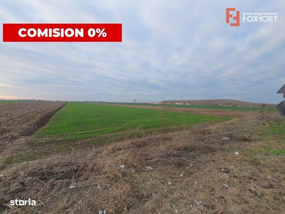 COMISION 0% Teren extravilan agricol 10.000 mp la sosea in Sag