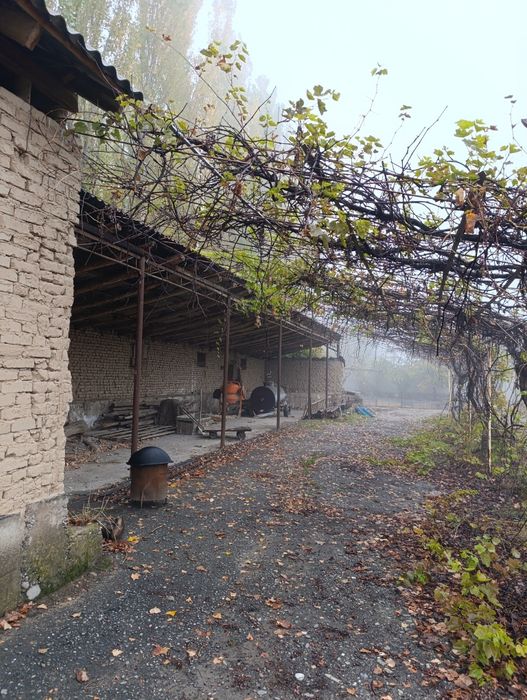 Сотилади Турар жой 20 сотик