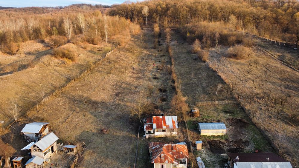 Teren intravilan 2944mp + Casa batraneasca