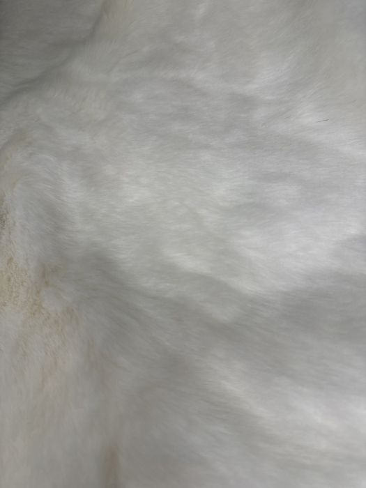 IN STOC | Geaca Louis Vuitton Premium