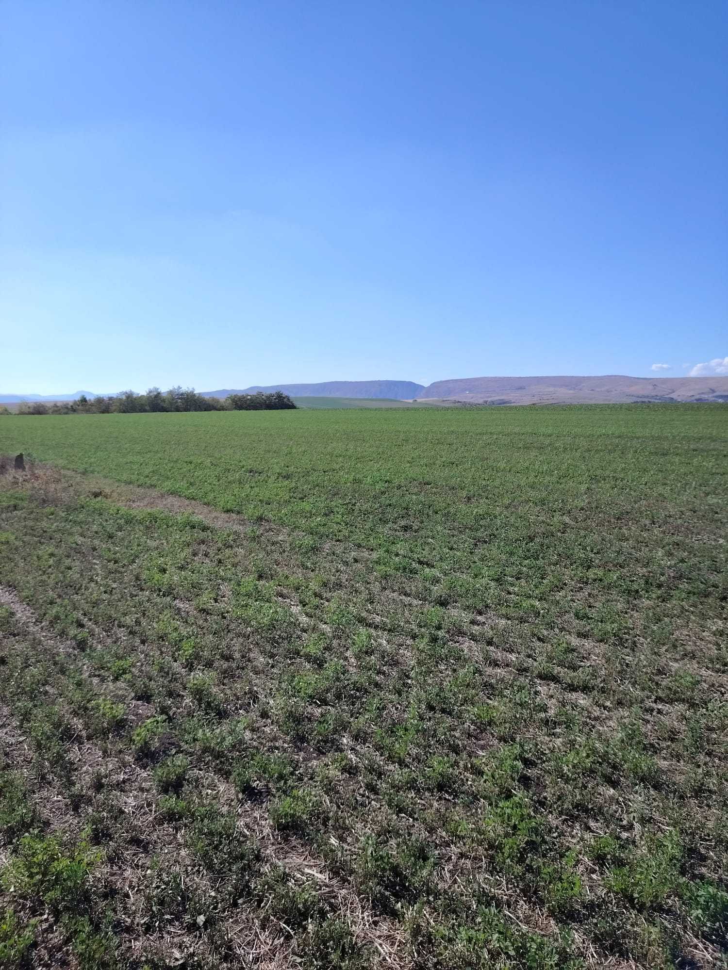 Teren de vânzare  8.700 mp Priveliști spectaculoase Investiție ideală