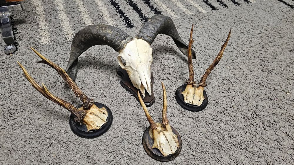 Un Frumos set de 4 panoplii