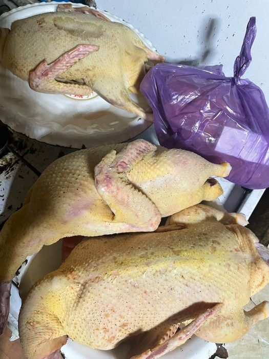 Продам мясо уток мулардов
