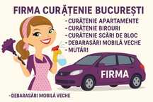 Servicii Curățenie Domiciliu Debarasari Birouri apartamete-case-vile