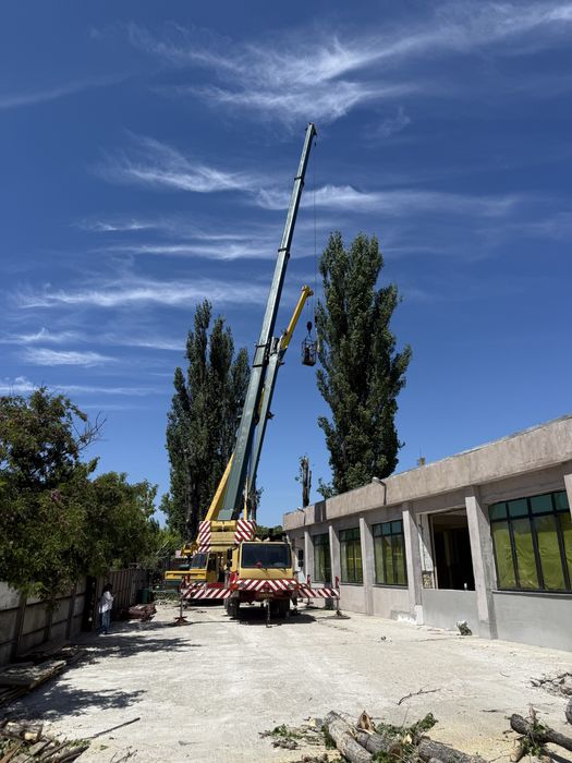 Macarale de la 30t. pana la 200t