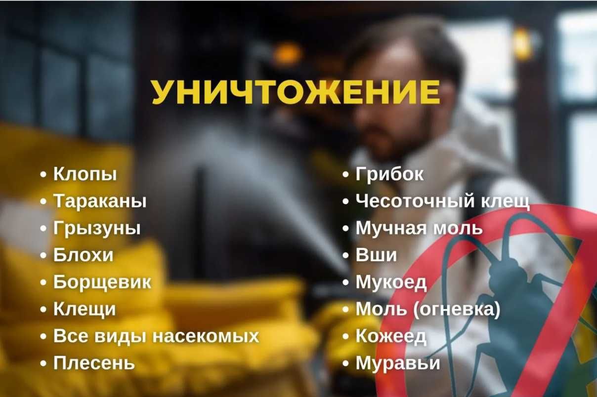 Dezinfeksiya klop tarakan Дезинфекция СКИДКИ до 40%