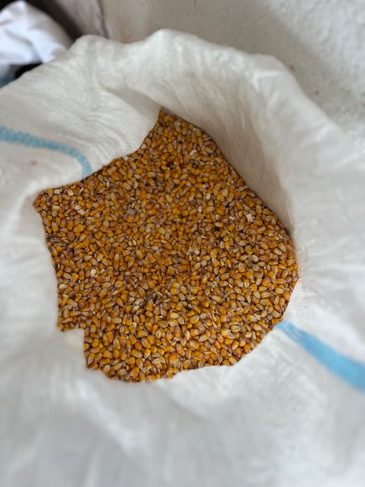 Vând furaj natural pentru animale