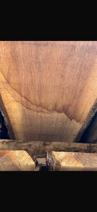 Cherestea de Nuc Negru American