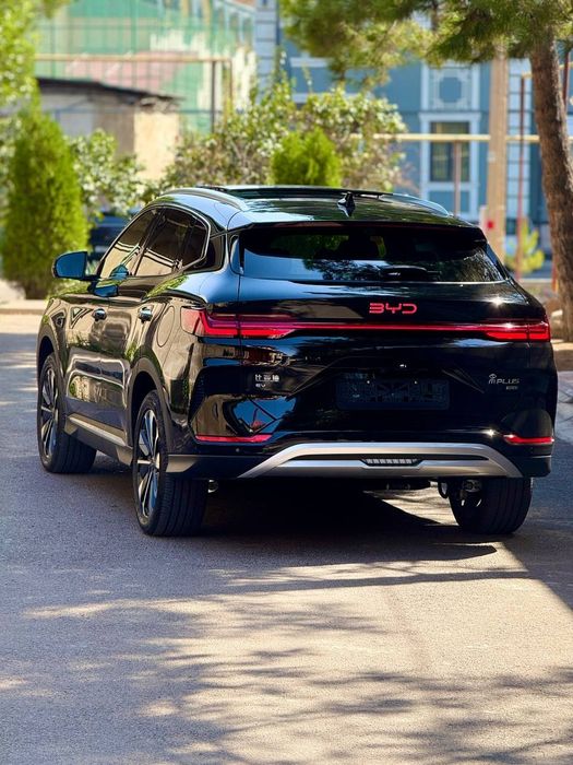 BYD chempion 2025 restaylig