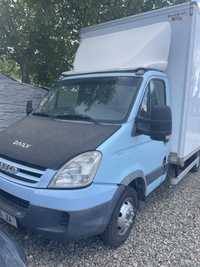 Iveco       Daily