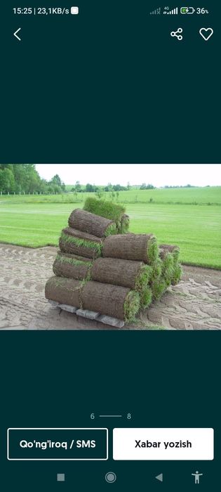 Gazon ekish xizmadlarimizni taklif qilamiz