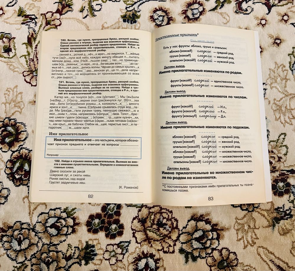 Т.В.Шклярова, русский язык,кгига,внеклассное чтение,хотлиное состояние