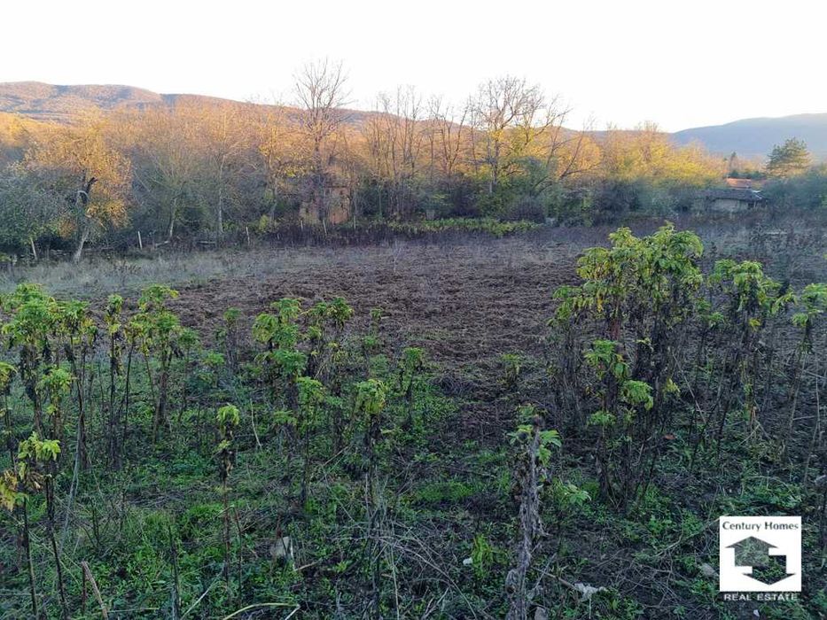 116250 Голям парцел в регулация в с. Плаково, 15 км. от Велико Търново