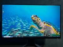 Pc gaming + monitor 240hz
