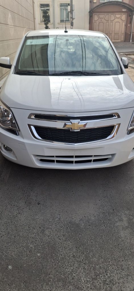 2025 cobalt yeng