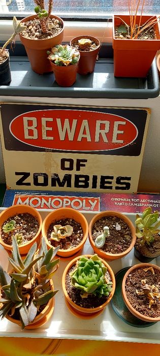 Метална табела, Пазете се от зомбита  30х20 см