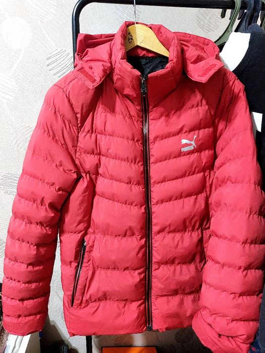 Куртка. Мужской пуховик.