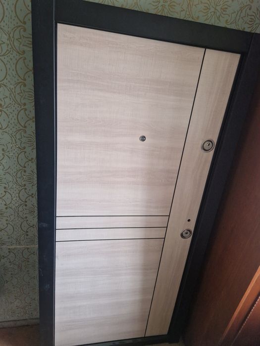 Ușă intrare Bloc 207/100