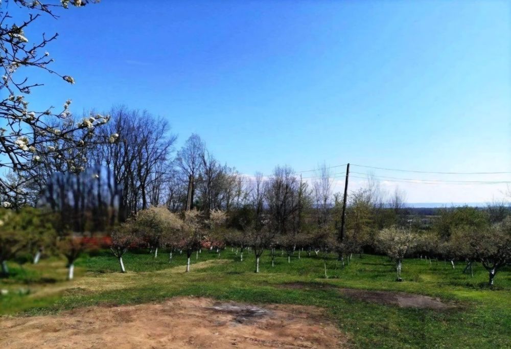 Vand casa Hintesti(Dealul Viilor)