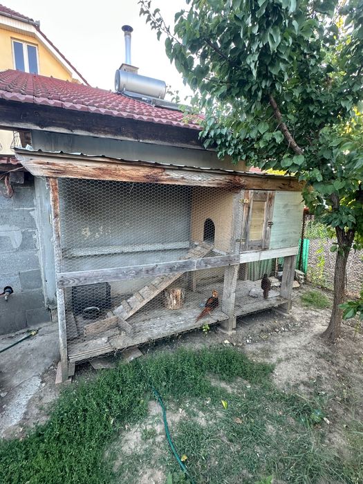 Cusca pentru pasari si diverse animale