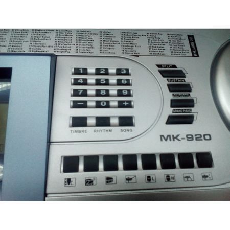 Orga cu claviatura standard de 61-taste/ inregistrare/LCD/ 6 mel.demo