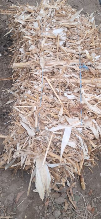 Vând baloți coceni!!