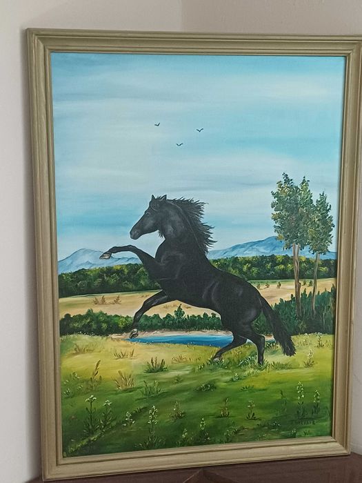 Черен мустанг край реката