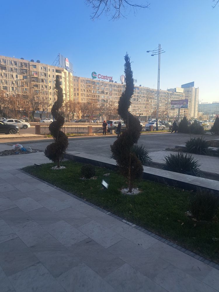 Аренда Нежилой Себзор 25м2/0/9 подвал 500уе