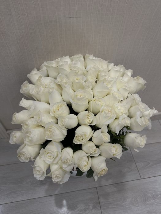 Цветы Белый роза