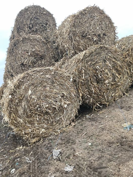 Baloți de tocătură
