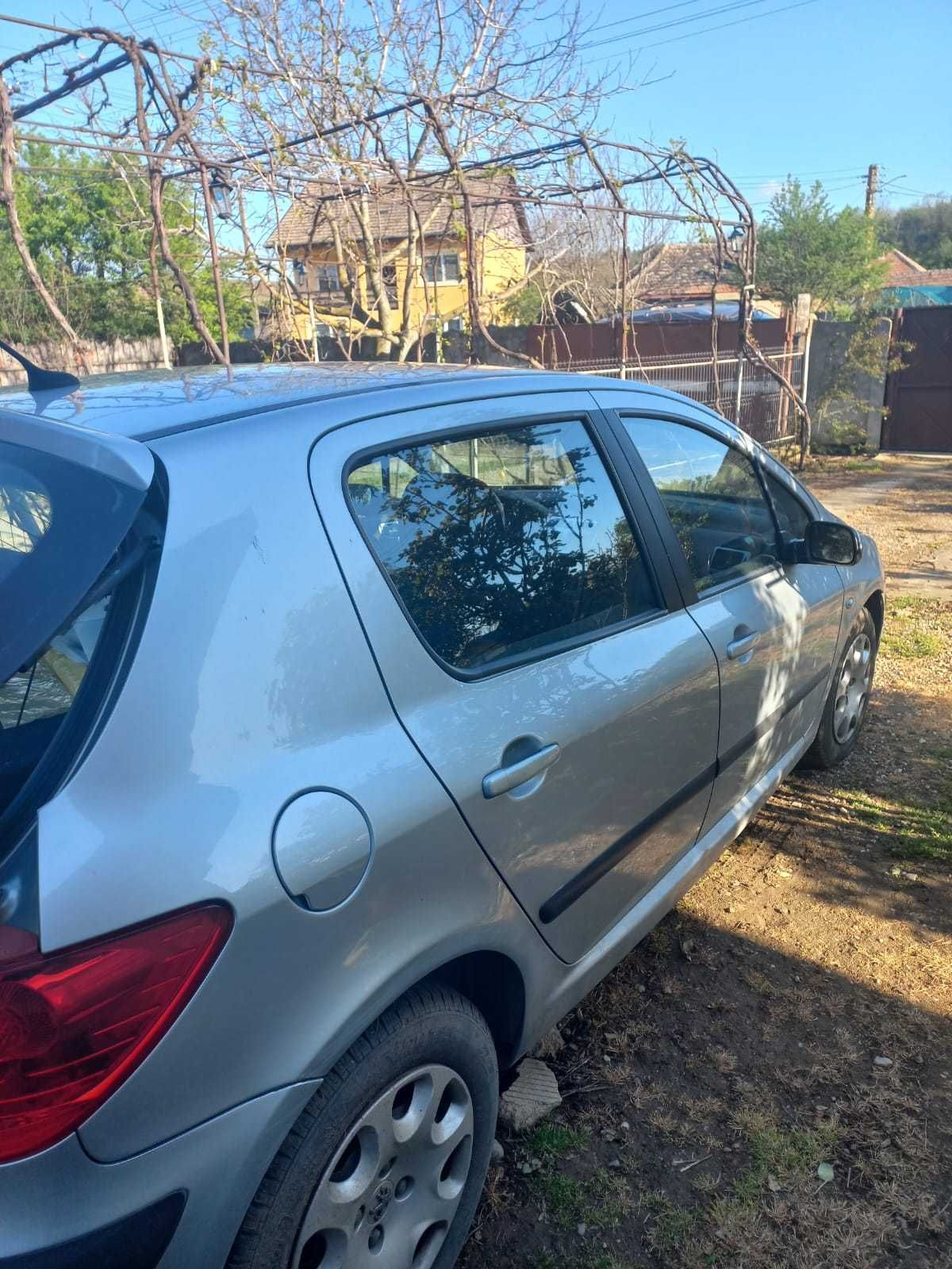 Vand Peugeot 307