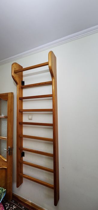 Шветиская лестница