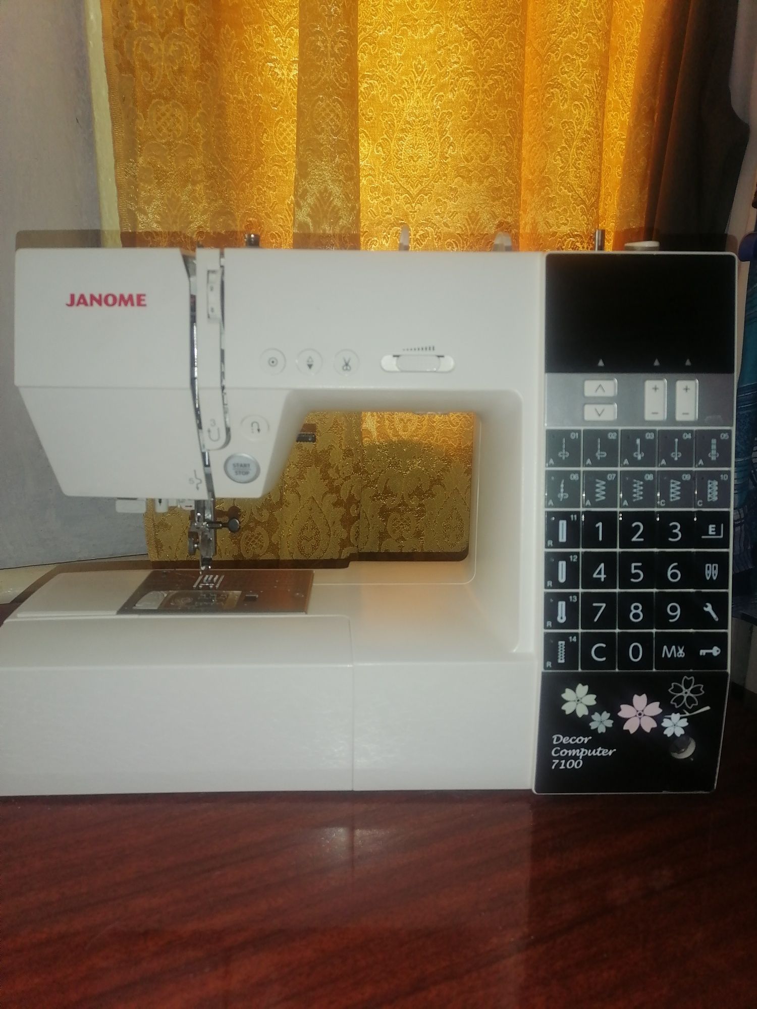 Janome DC 7100..