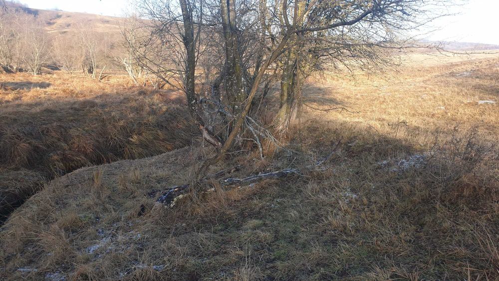 De vanzare teren extravilan in comuna Ciucea ,jud.Cluj